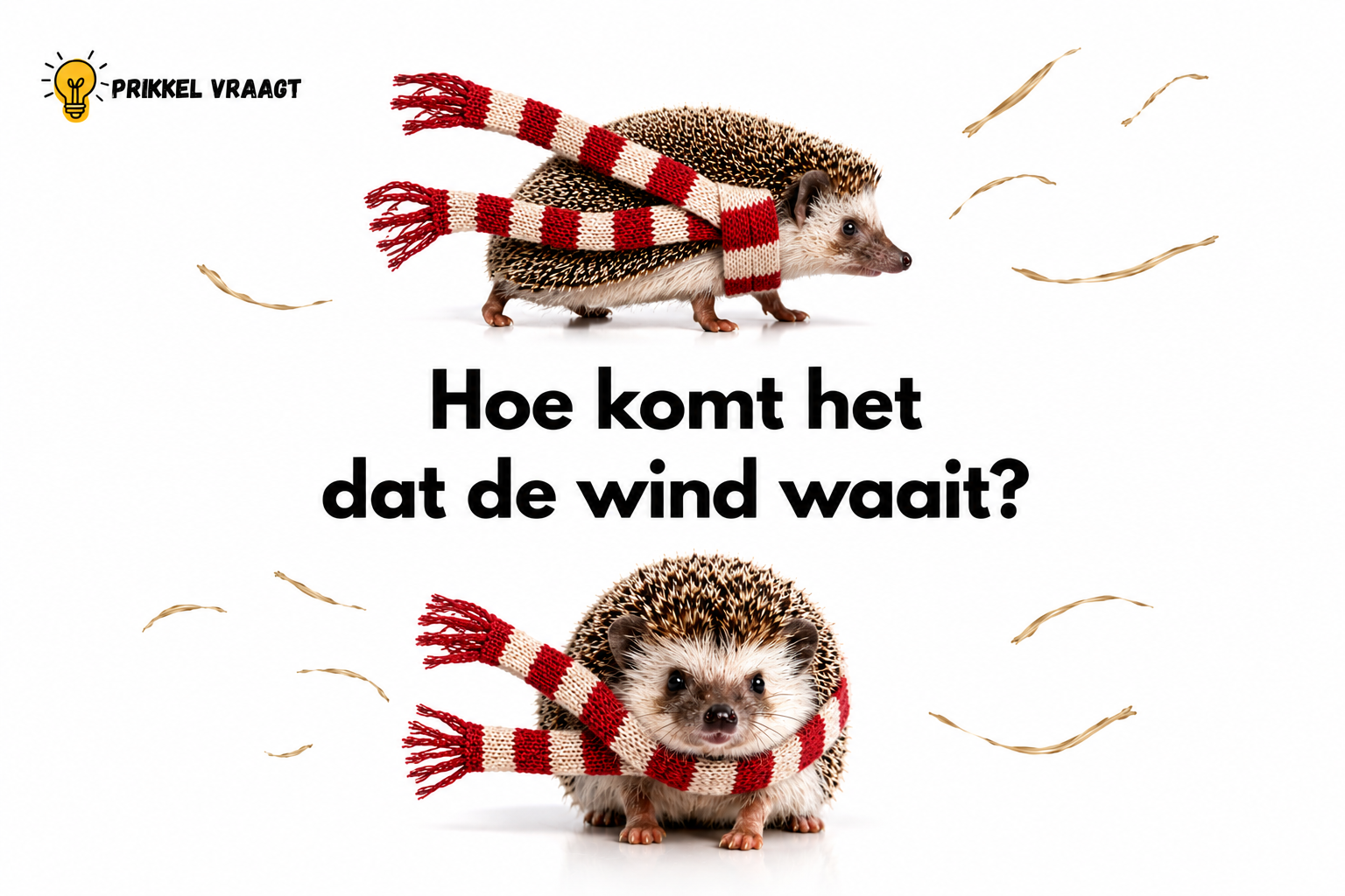 Waarom waait de wind?